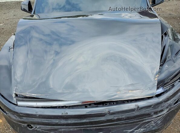 7SAYGDEE3TF446596 2026 TESLA MODEL Gray Vista interior trasera