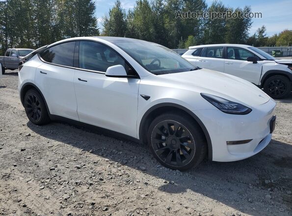 7SAYGDEE5NF481515 2022 TESLA MODEL White 