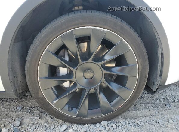 7SAYGDEE5NF481515 2022 TESLA MODEL White 