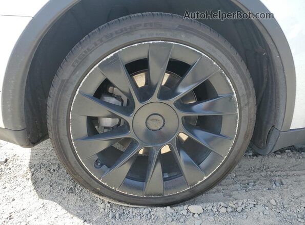 7SAYGDEE5NF481515 2022 TESLA MODEL White 