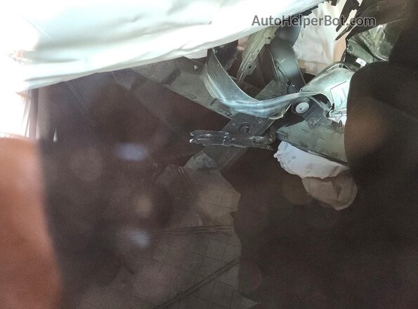 7SAYGDEE5RF155056 2024 TESLA MODEL Черный Вид задних сидений