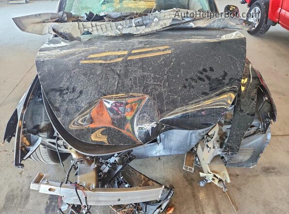 7SAYGDEE5RF155056 2024 TESLA MODEL Черный Вид задней части салона