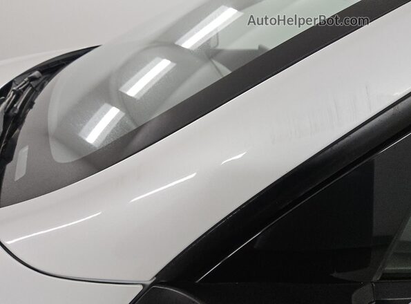 7SAYGDEE9NF481355 2022 TESLA MODEL White 