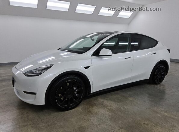 7SAYGDEE9NF481355 2022 TESLA MODEL White 