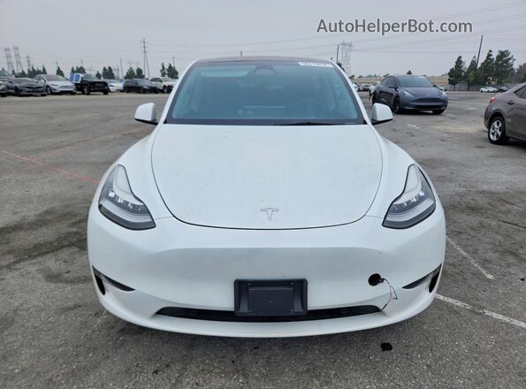 7SAYGDEEXPA119776 2023 TESLA MODEL White Դիմացի տեսք