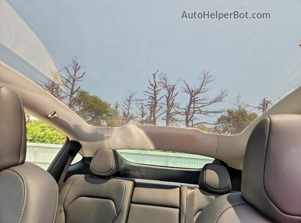 7SAYGDEEXTF530754 2026 TESLA MODEL Blue Հետևի նստատեղերի տեսք