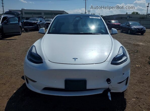 7SAYGDEF3RA299243 2024 TESLA MODEL Белый Вид спереди