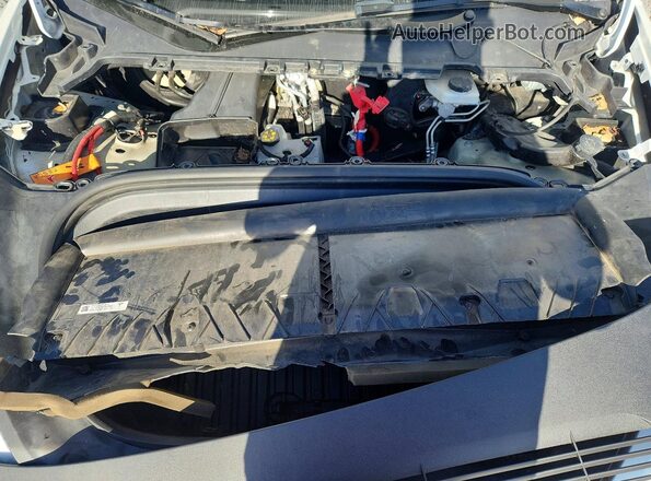7SAYGDEF4SF216539 2025 TESLA MODEL Белый Вид задней части салона