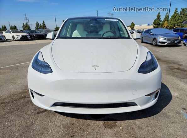 7SAYGDEF6RF113813 2024 TESLA MODEL White Vista frontal