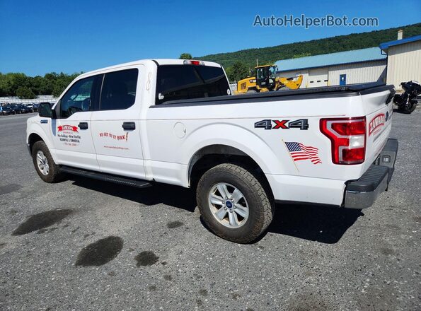 1FTFW1E5XLKE44823 2020 FORD F150 White Հետևի աջ