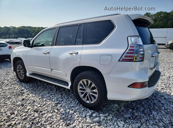 JTJJM7FX0J5186503 2018 LEXUS GX White Tył prawy