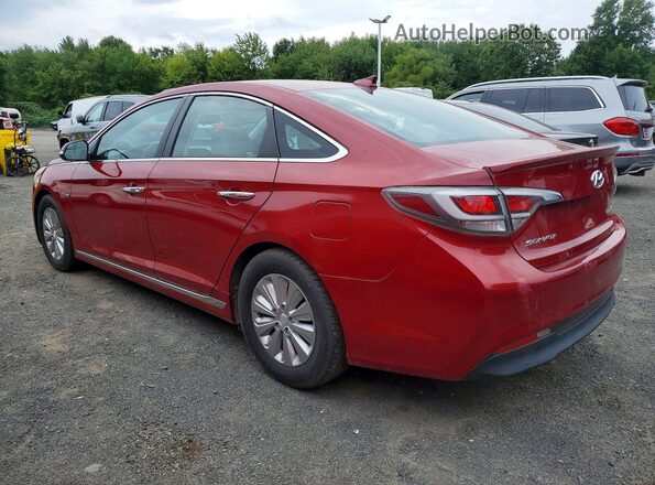 KMHE24L18GA041004 2016 HYUNDAI SONATA Red Հետևի աջ
