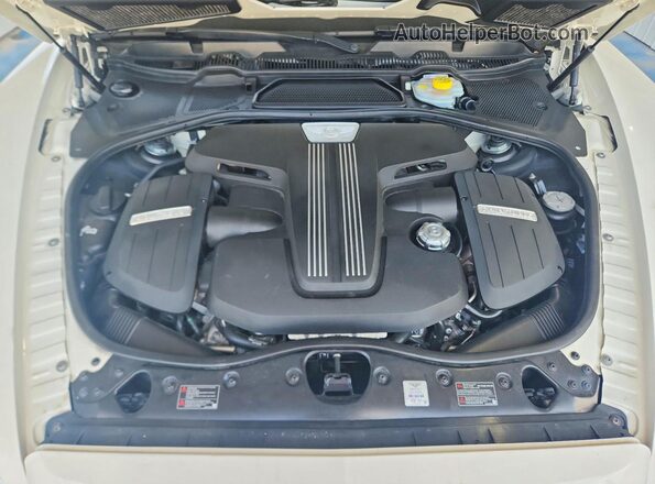 SCBET9ZA9G8053145 2016 BENTLEY OTHER White Widok komory silnika
