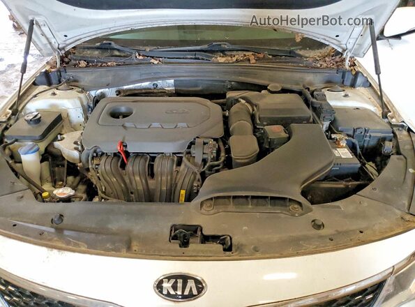 5XXGT4L30GG003458 2016 KIA OPTIMA White Շարժիչի բաժամունքի տեսք