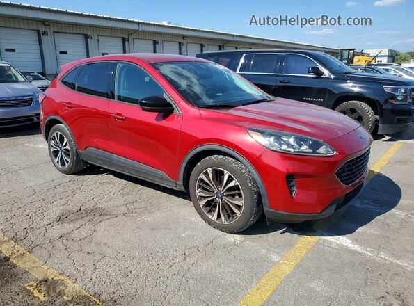 1FMCU0G69MUB17114 2021 FORD ESCAPE Красный Вид спереди
