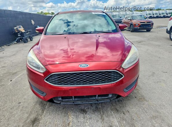 1FADP3K24GL209673 2016 FORD FOCUS Red უკანა ხედი