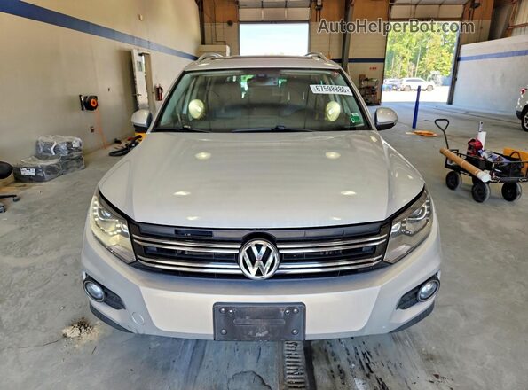 WVGAV7AX3GW553447 2016 VOLKSWAGEN TIGUAN Silver Rear view