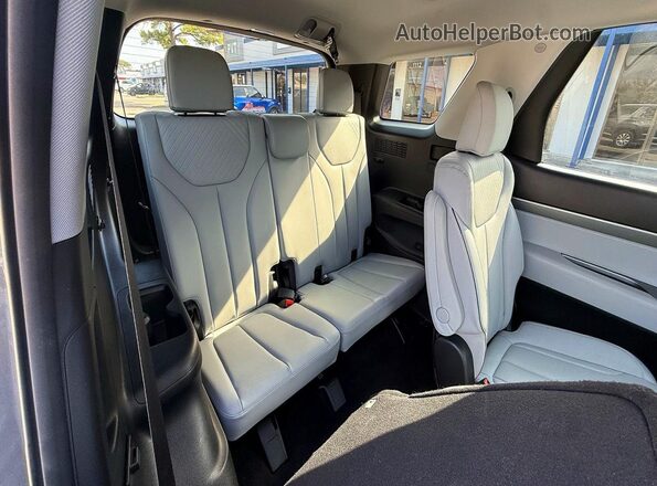 KM8R24GE1SU810996 2025 HYUNDAI PALISADE Gray Widok naklejki z numerem VIN
