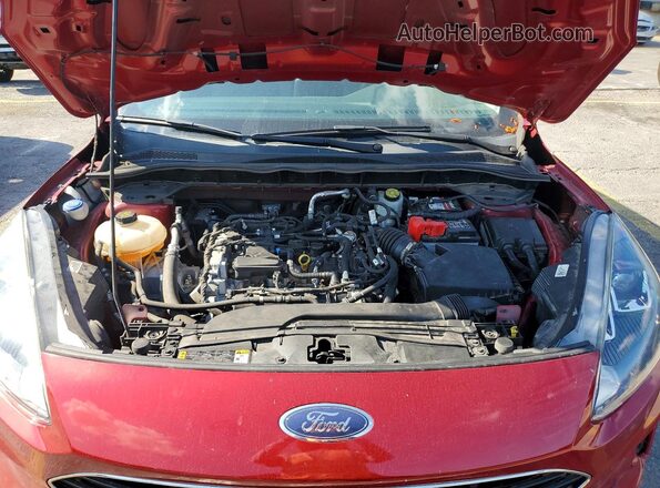 1FMCU0G69MUB17114 2021 FORD ESCAPE Красный Вид наклейки с VIN-кодом