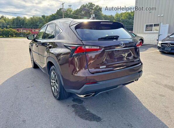 JTJBARBZ9G2081923 2016 LEXUS NX Maroon უკანა მარჯვენა