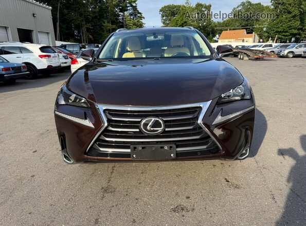 JTJBARBZ9G2081923 2016 LEXUS NX Maroon უკანა ხედი