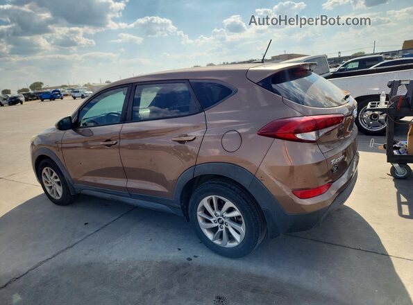 KM8J23A47HU430206 2017 HYUNDAI TUCSON Brown Rear right