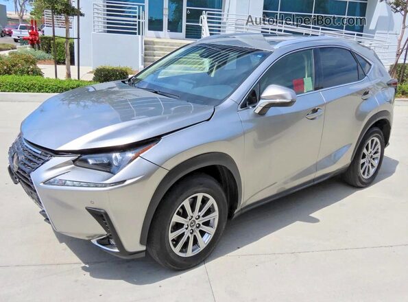 JTJYARBZ1K2147593 2019 LEXUS NX Silver Задня права чверть