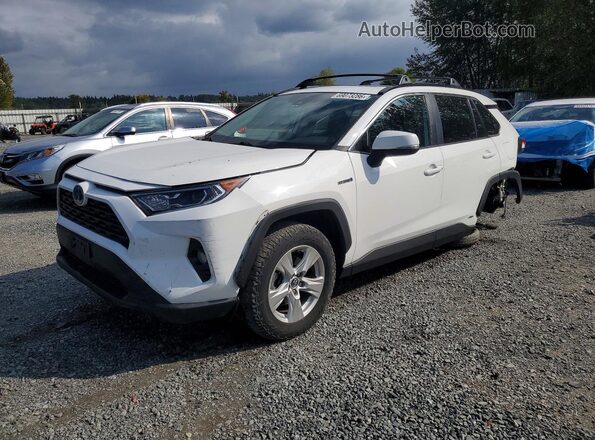 2T3RWRFV8LW072092 2020 TOYOTA RAV4 White Հետևի ձախ