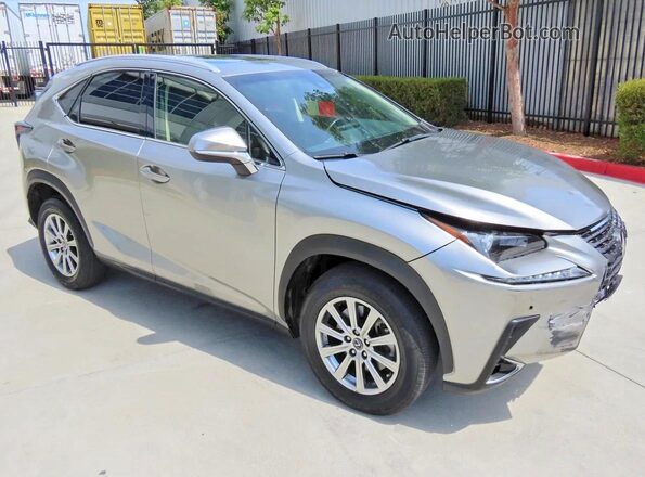 JTJYARBZ1K2147593 2019 LEXUS NX Silver Задня ліва чверть