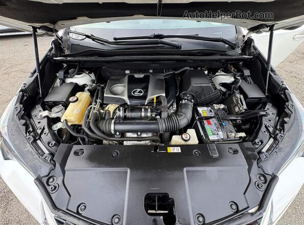 JTJGARBZ5L2167925 2020 LEXUS NX White Widok wnętrza z przodu