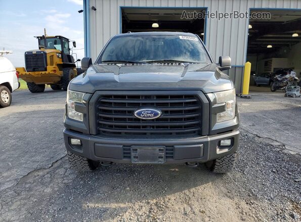 1FTEW1EF1GFA13502 2016 FORD F150 Серый Вид сзади