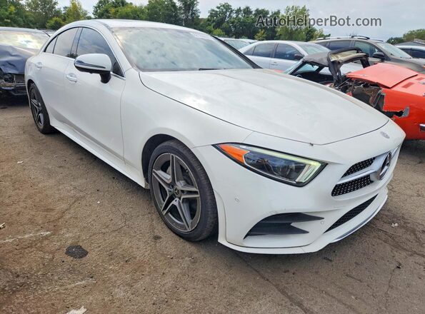 WDD2J5KBXLA050166 2020 MERCEDES-BENZ CLS-CLASS White Widok z przodu