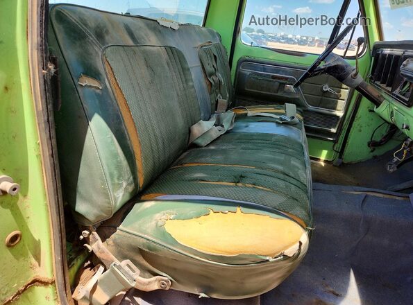 F10YKS83060 1973 FORD F100 Двухцветный Вид задних сидений