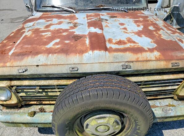 F10YRE15442 1969 FORD F100 Синий Вид задней части салона