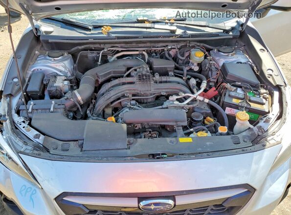JF2GTACC0KH267775 2019 SUBARU CROSSTREK Silver Սալոնի հետևի տեսք