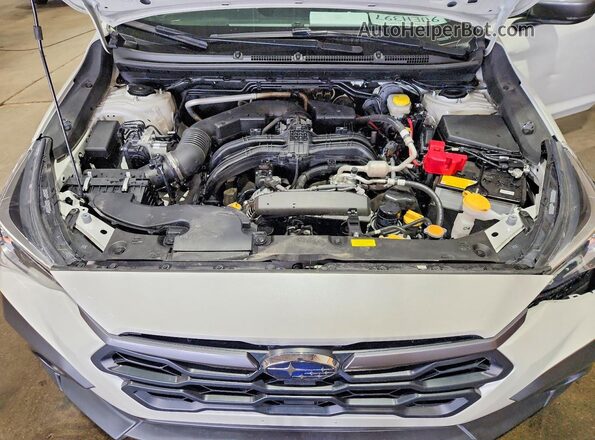 JF2GUHDC6SH263766 2025 SUBARU CROSSTREK Белый Вид задней части салона