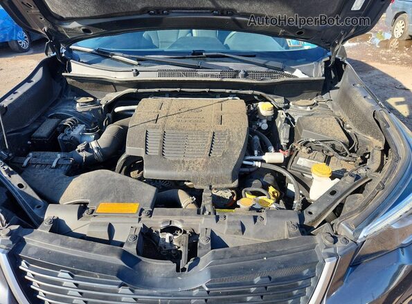 JF2SKADC1LH531826 2020 SUBARU FORESTER Gray Vista del compartimento del motor