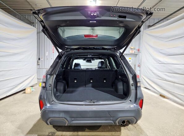 JF2SLDRC6SH510038 2025 SUBARU FORESTER Gray Вид ззаду