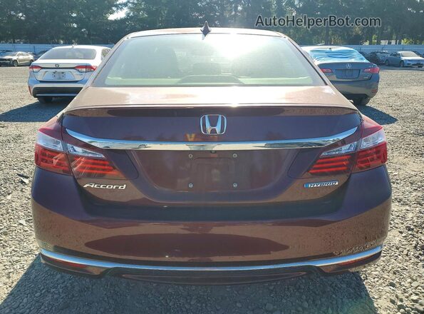 JHMCR6F55HC007625 2017 HONDA ACCORD Темно-бордовый Вид сзади
