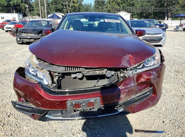 JHMCR6F55HC007625 2017 HONDA ACCORD Темно-бордовый Вид спереди