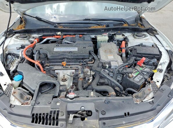 JHMCR6F79HC013378 2017 HONDA ACCORD White Սալոնի հետևի տեսք