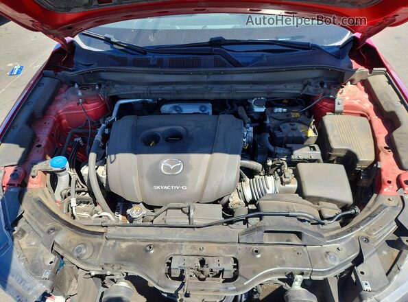 JM3KFBCM3M0448571 2021 MAZDA CX-5 Красный Вид задней части салона