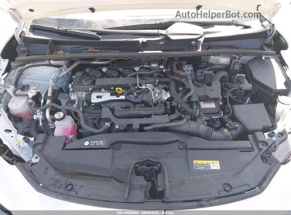 JTDACAAU1R3025259 2024 TOYOTA PRIUS White Vista trasera