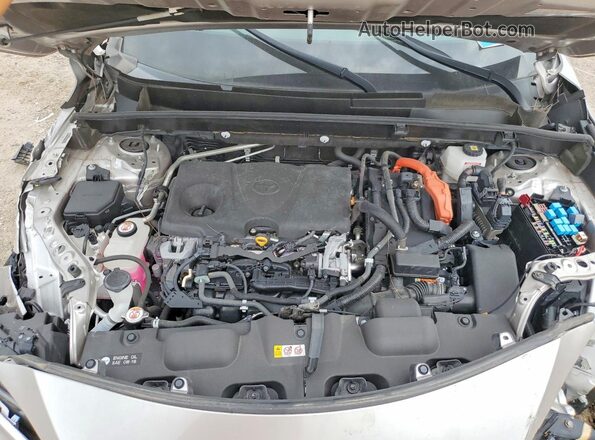 JTEAAAAH4MJ057891 2021 TOYOTA VENZA Tan Widok wnętrza z tyłu