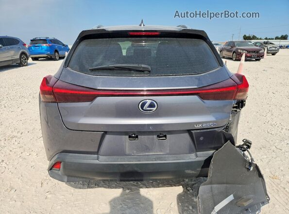 JTHP9JBH0L2025775 2020 LEXUS UX Gray Հետևի տեսք