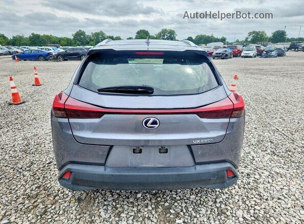 JTHP9JBH3M2044869 2021 LEXUS UX Gray Vista trasera