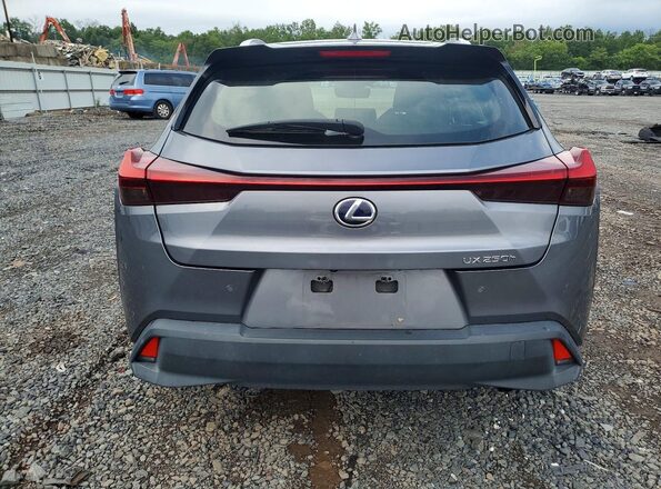 JTHP9JBH6M2049578 2021 LEXUS UX Gray Հետևի տեսք