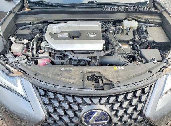 JTHP9JBH6M2049578 2021 LEXUS UX Gray Շարժիչի բաժամունքի տեսք