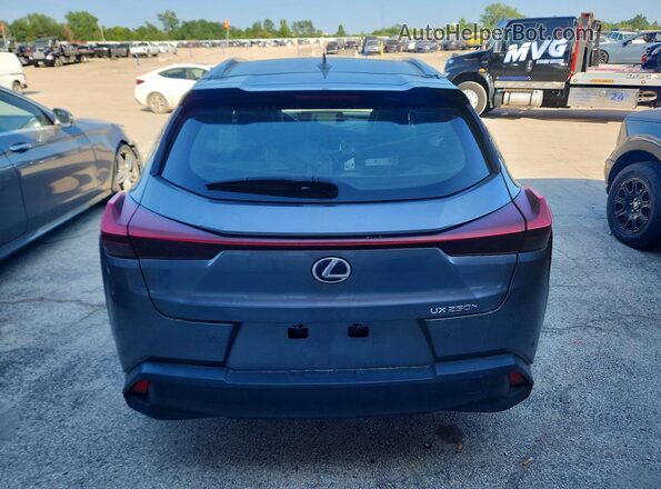 JTHU9JBH4K2017521 2019 LEXUS UX Gray Vista trasera