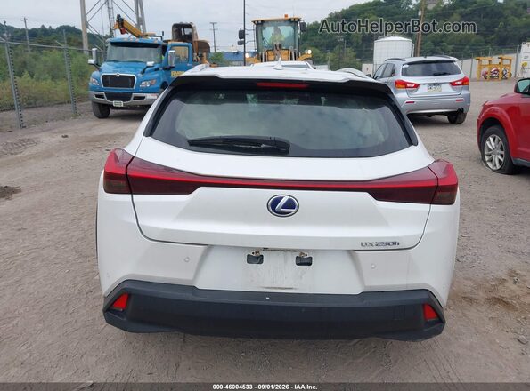 JTHU9JBH5K2015695 2019 LEXUS UX 250H White 